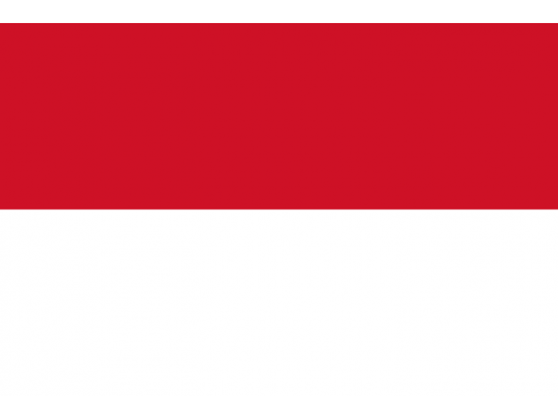 Indonesian Flag